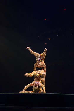 1471 04 contorsion 077.jpg original small