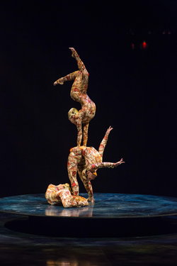 1477 04 contorsion 113.jpg original small