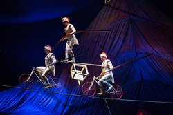 1518 12 highwire 136.jpg original small