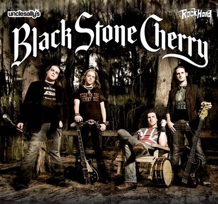 Black Stone Cherry: Tour 2008