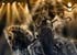 Saxon_poster_01_2